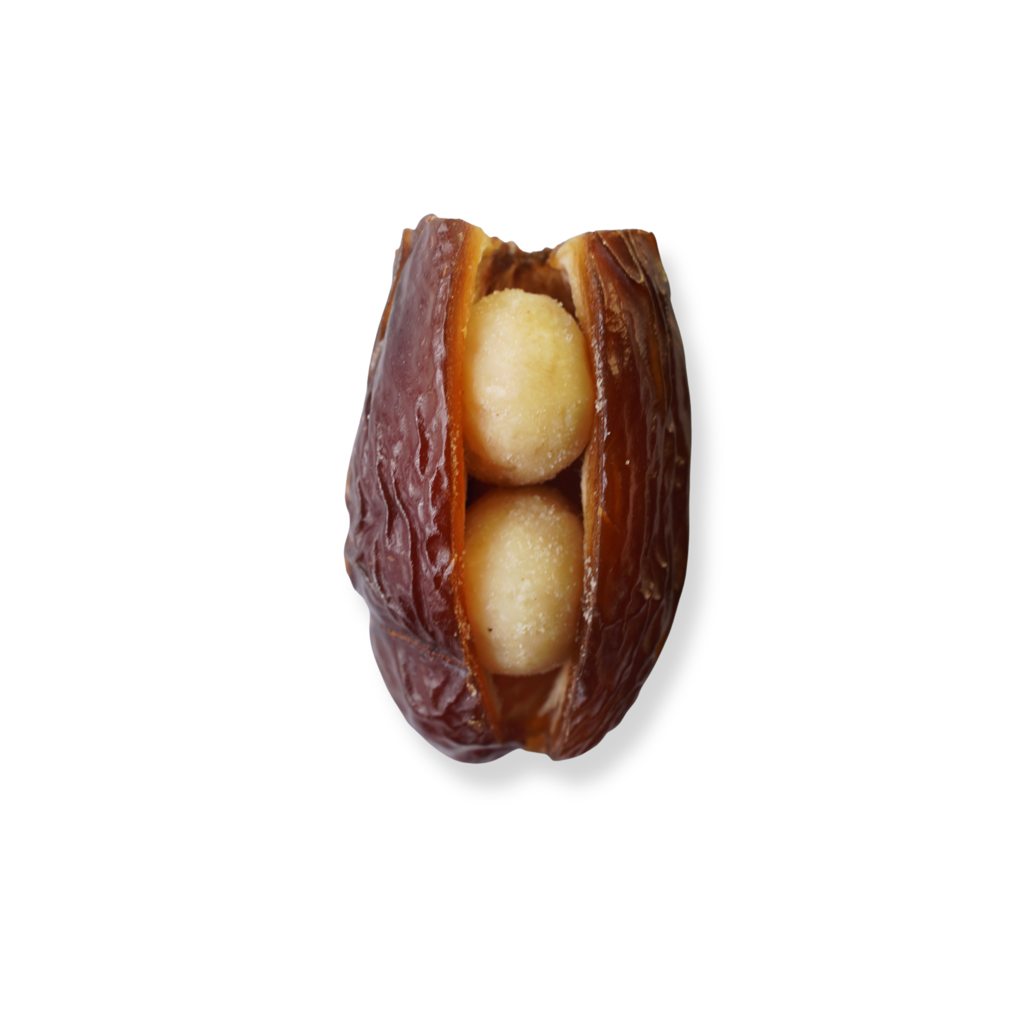 Macadamia